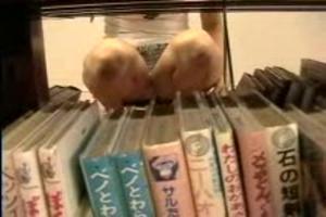 Kutje kijken in de bibliotheek