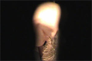 Spieken door het sleutelgat