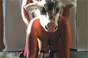 Boeeeeeeh koetje neuken