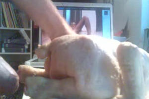 Geile kippetje met rare bijsmaak