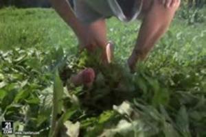 Vrouw vindt pik onder het gras