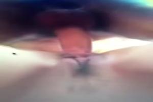 Doggy van onder gefilmd